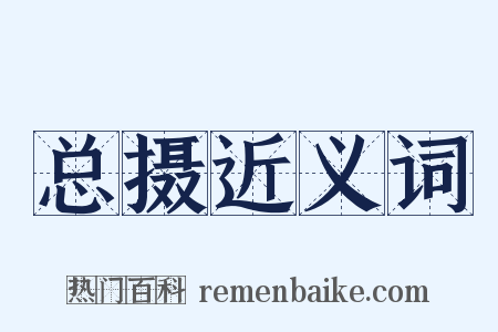 总摄近义词是什么意思的图片